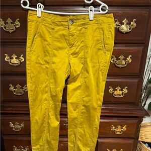 CAbi womens Yellow Chinos